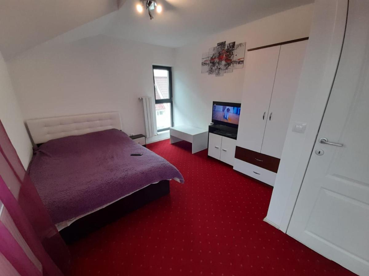 Unique Cozy Apartament near UMF Iasi Extérieur photo