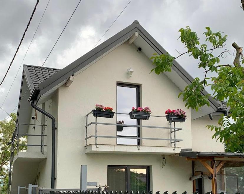 Unique Cozy Apartament near UMF Iasi Extérieur photo